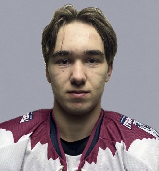 Свитков Григорий