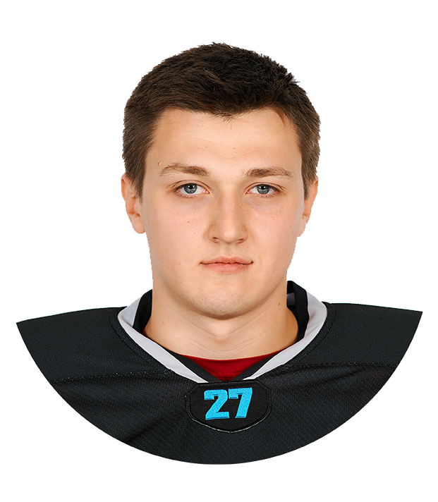 Пестунов Денис