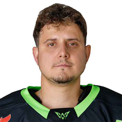 Гойло Виталий