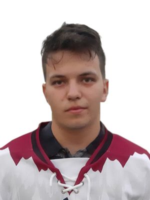 Мельников Никита