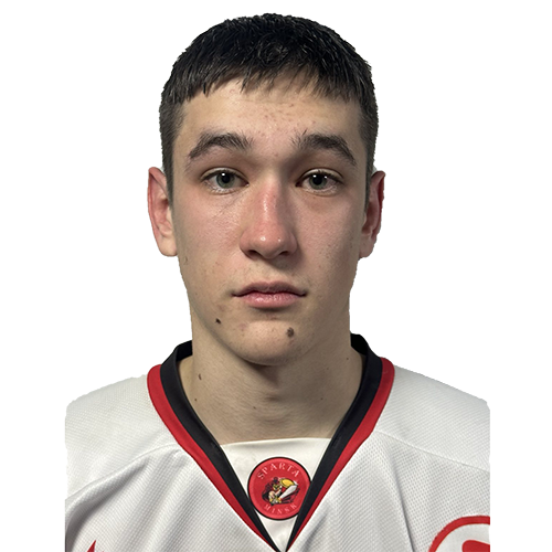 Гребнев Даниил