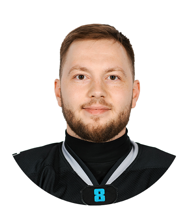 Городишенин Кирилл