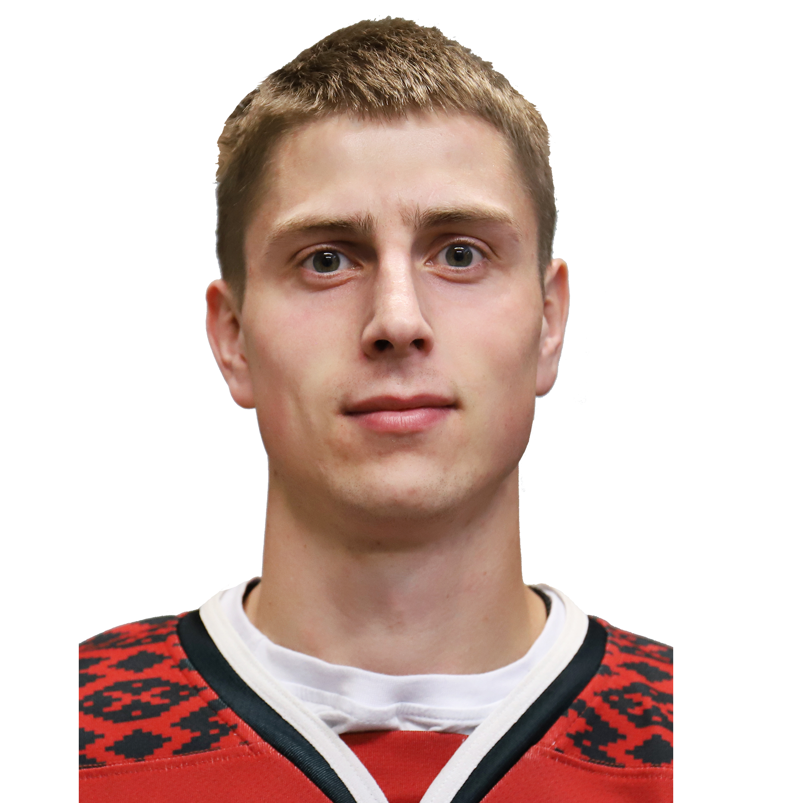 Грицанчук Артур