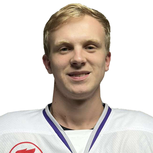 Чертков Денис