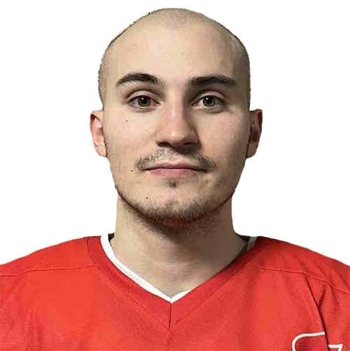 Моисеенко Виктор