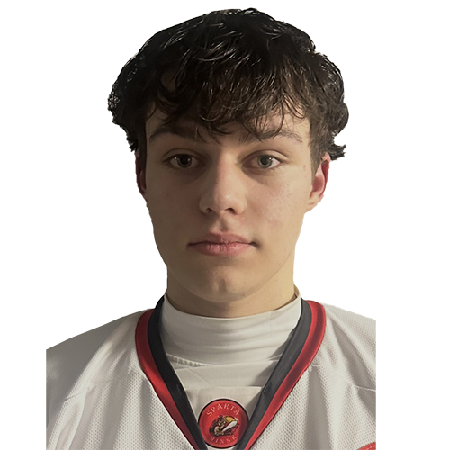 Комлев Владислав