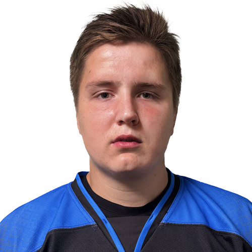 Лагодич Михаил