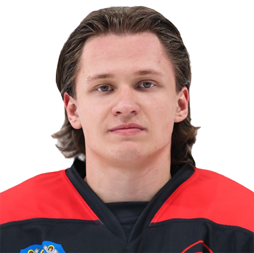 Холодок Владислав