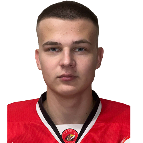 Видук Илья