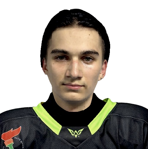 Вильгота Вячеслав