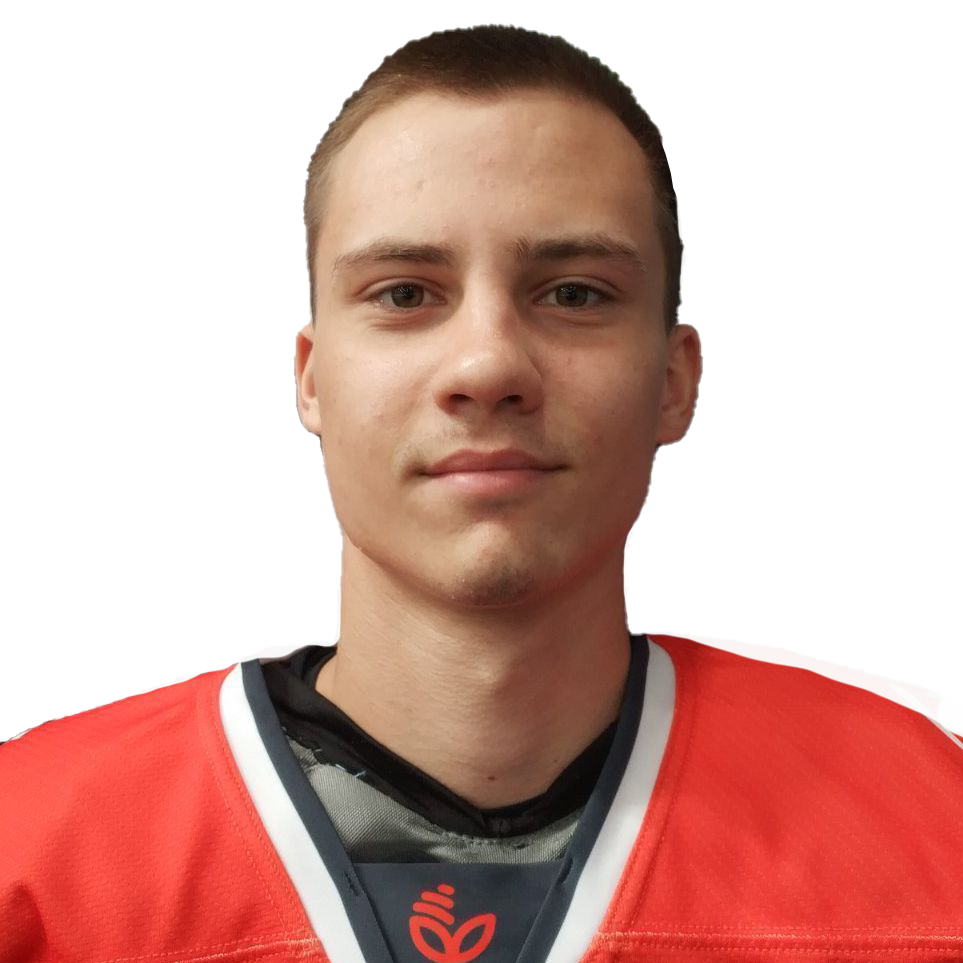 Лисичкин Максим