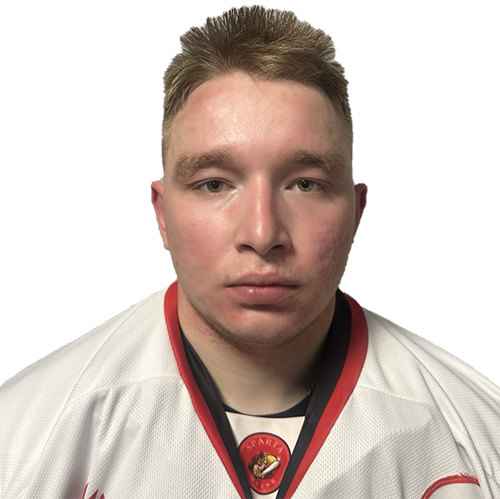 Рогознев Артем