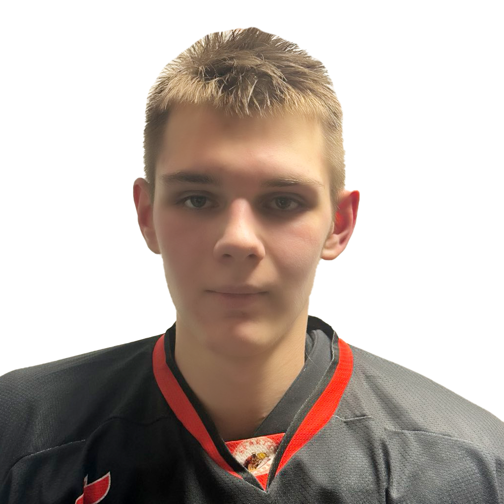 Колесников Никита