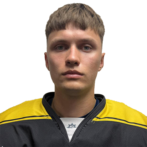 Волчецкий Илья
