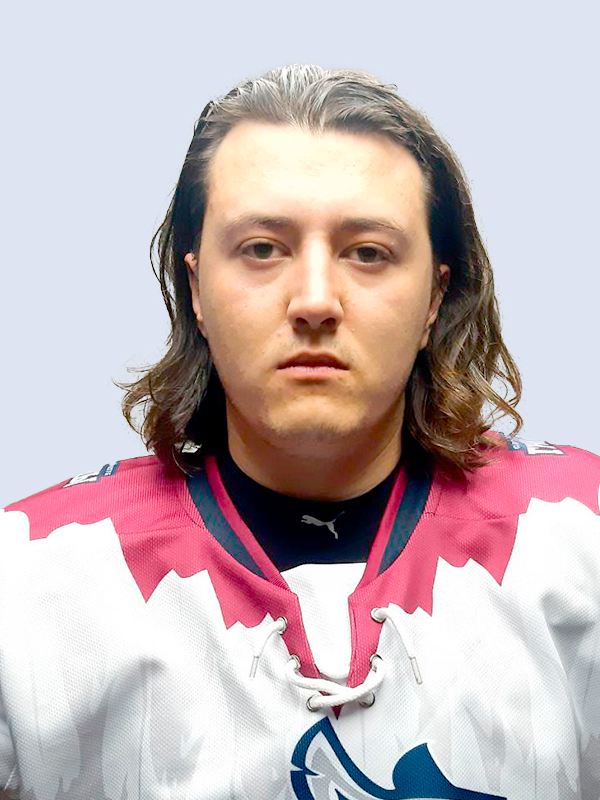 Дмитриев Никита