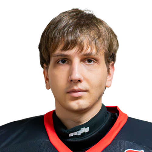 Дорожинский Матвей