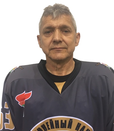 Гамезо Владимир