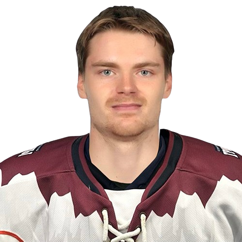 Пластинин Денис