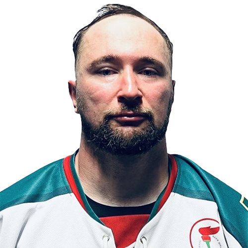 Подгорный Александр